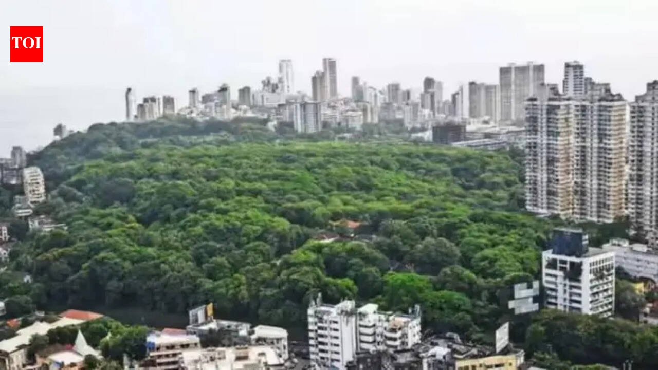 Fresh objections to 52 MLD tank plan in Malabar Hill | Mumbai News
