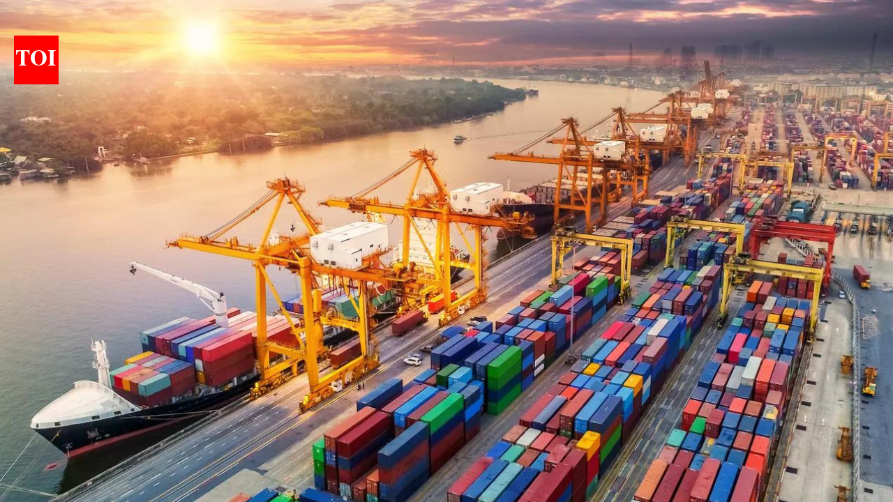 Govt rolls out measures to cushion Gulf trade hit: DGFT