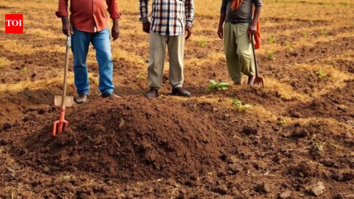 Man Buried Alive Raipur: 'Stalker' buried alive by woman's boyfriend and aides; 2 juveniles detained, 3 arrested | Raipur News