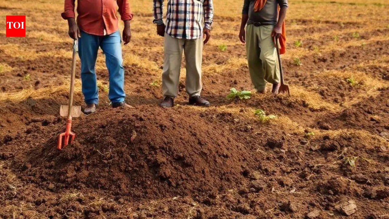 Man Buried Alive Raipur: 'Stalker' buried alive by woman's boyfriend and aides; 2 juveniles detained, 3 arrested | Raipur News
