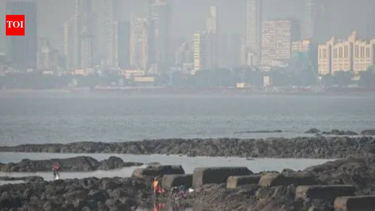 Mumbai Port hits record 75.15 MMT cargo in FY26; eyes 80 MMT next | Mumbai News