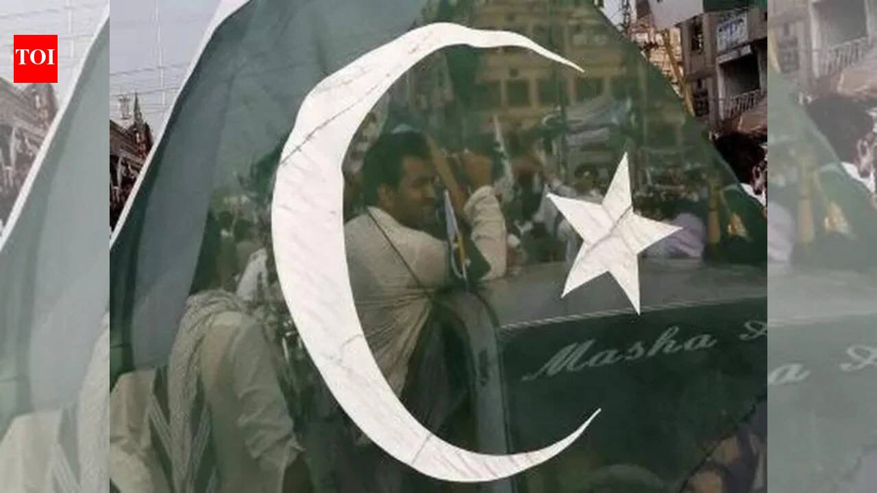 Pakistan External Repayments: Pakistan lines up $4.8 billion in external repayments by June, including $3.5 billion owed to UAE: Report