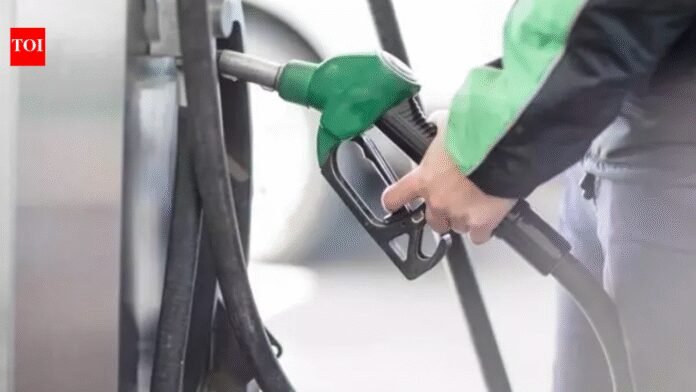 Pakistan Petrol Crisis: Petrol shock, free rides & more: How is Pakistan dealing with Hormuz energy crisis