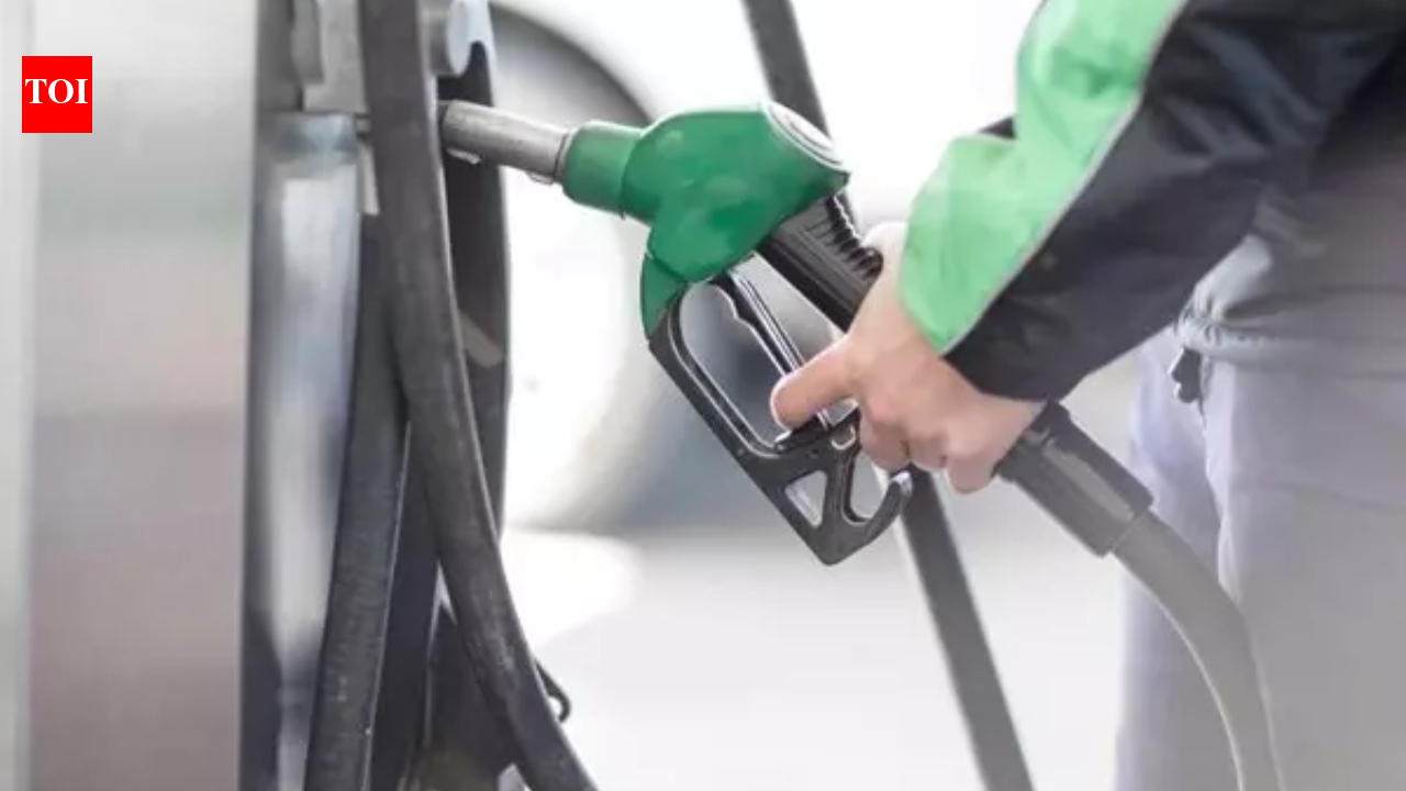 Pakistan Petrol Crisis: Petrol shock, free rides & more: How is Pakistan dealing with Hormuz energy crisis