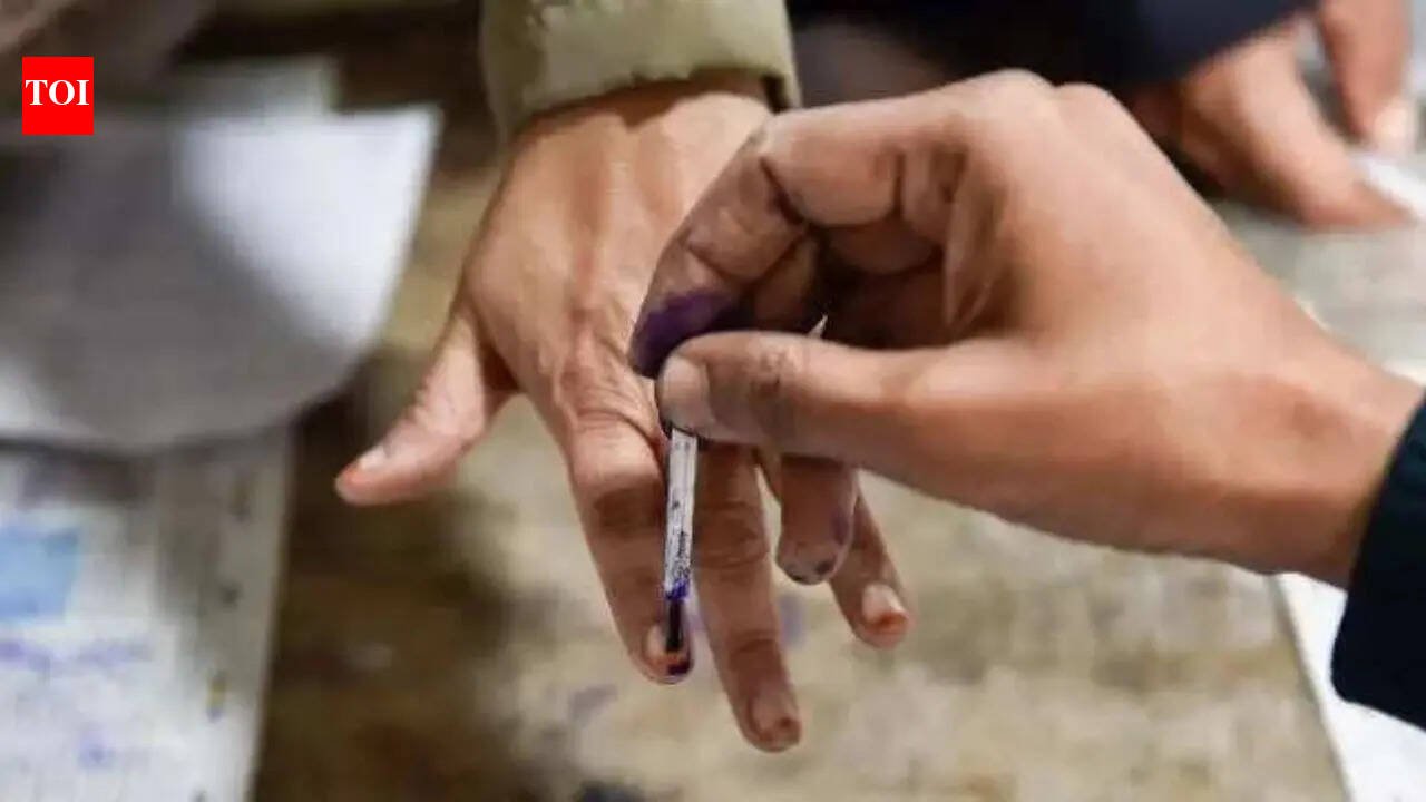 Puducherry elections: 23% of candidates face criminal cases, TVK leads with 10 names | India News