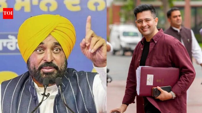 'Raghav Chadha is compromised': Punjab CM Bhagwant Mann responds to AAP's Rajya Sabha move | Chandigarh News