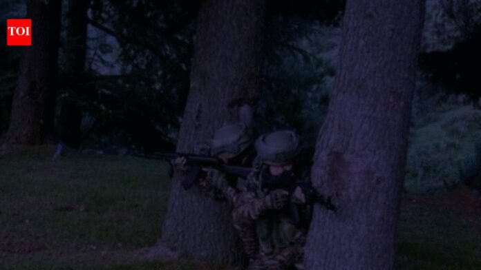 Terrorist killed in overnight encounter in J&K’s Ganderbal; anti-terror operation underway | India News