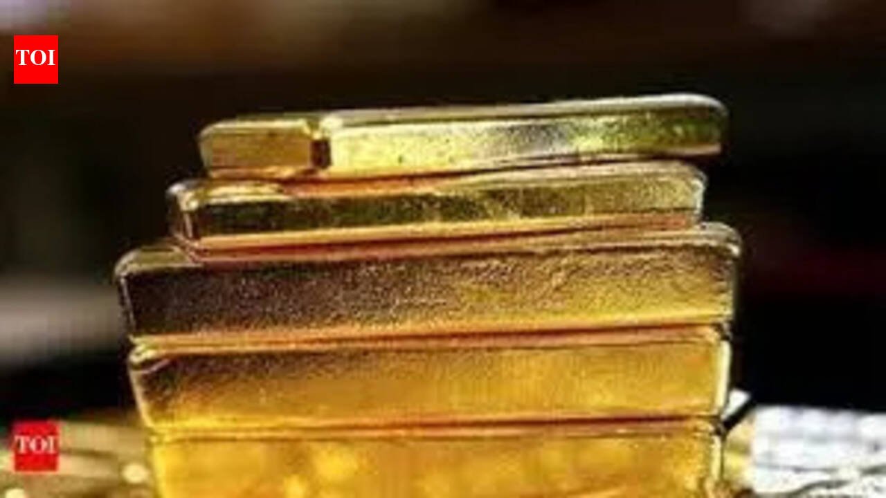 Thane Crime Branch apprehends fraudster; gold and cash worth crores recovered | Mumbai News
