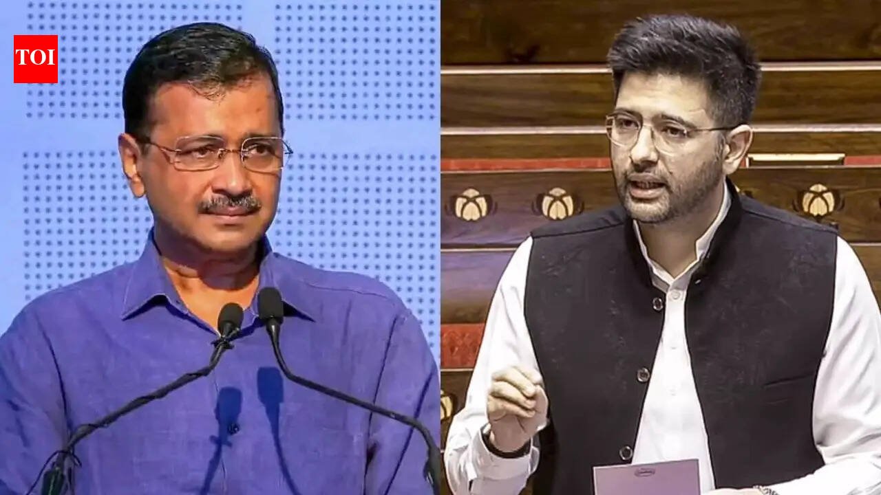 ‘You’ve grown afraid’: AAP hits back after Raghav Chadha’s direct attack on leadership | India News