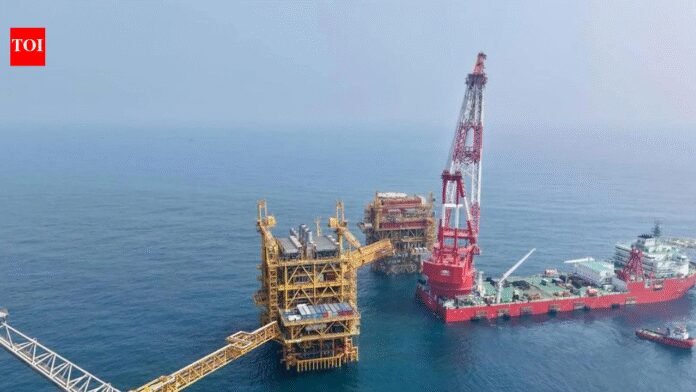 ‘Requests being examined’: Maldives, Sri Lanka among several nations seeking India’s energy supplies, says MEA | India News