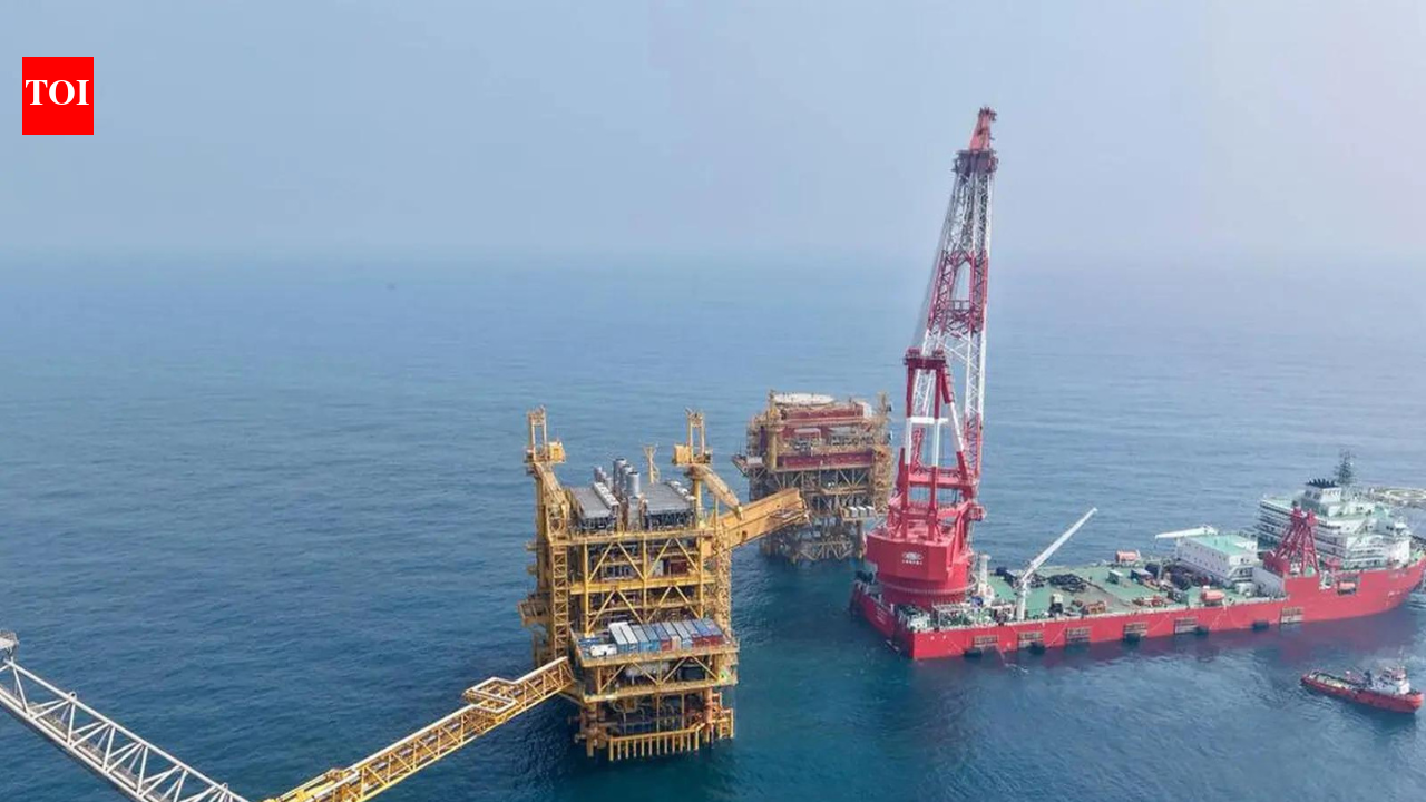 ‘Requests being examined’: Maldives, Sri Lanka among several nations seeking India’s energy supplies, says MEA | India News