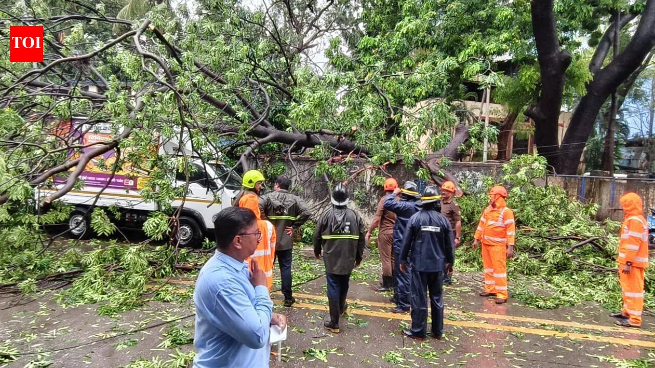 Tree falls on man in Thane; 11 vehicles damaged | Thane News