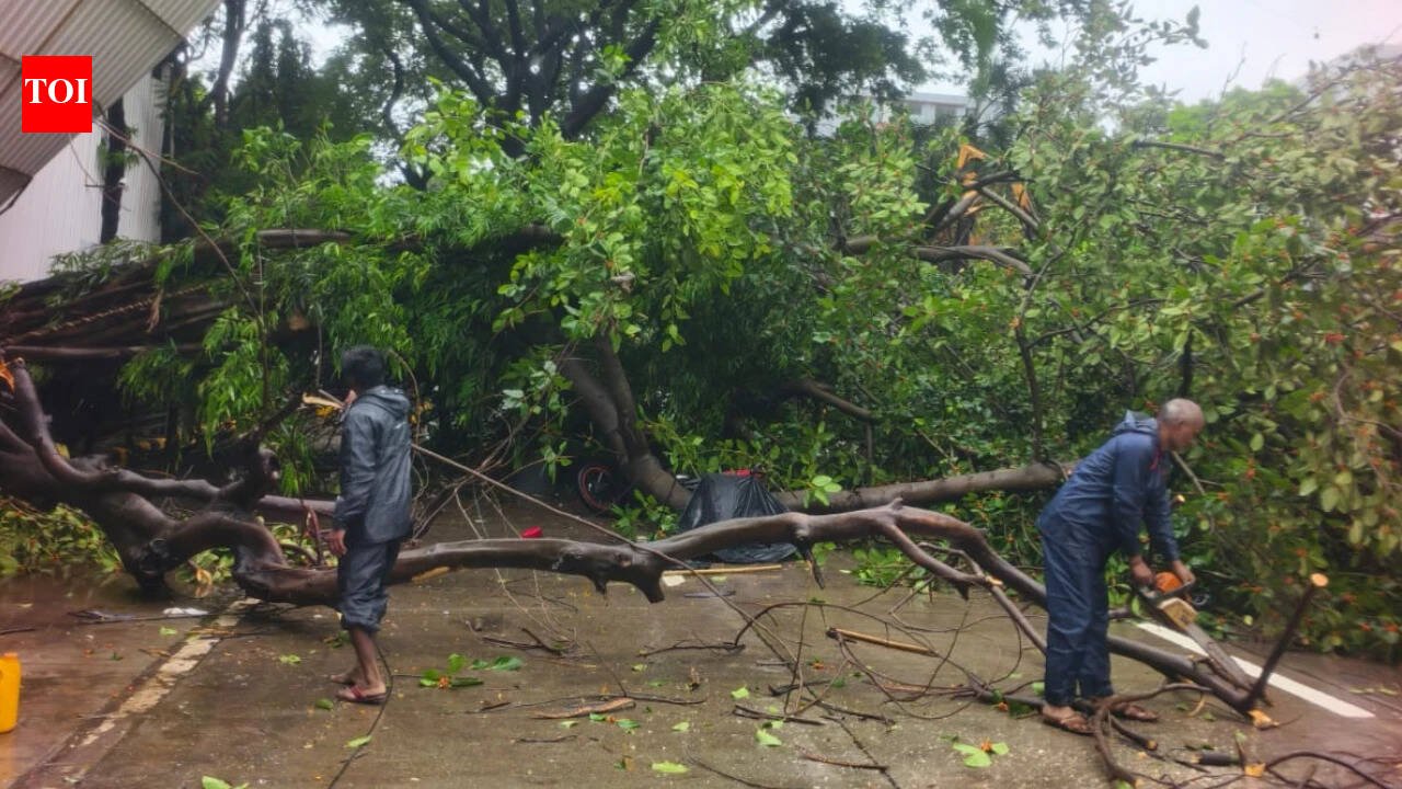 Ex-deputy mayor’s son dies after coconut tree falls on bike near Mumbai | Thane News