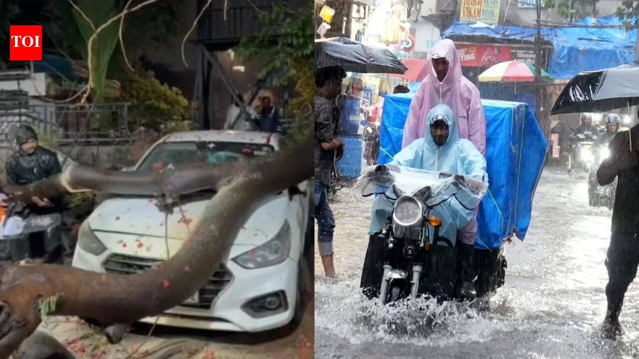 Heavy rain wreaks havoc in Kalyan-Dombivli, uproots trees, damages vehicles | Thane News