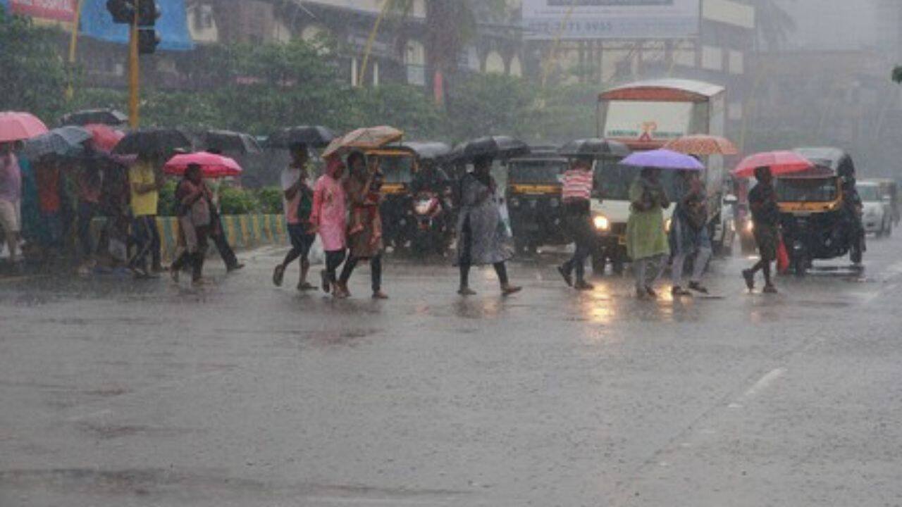 Maharashtra rains: 3 killed, 800 evacuated in rain-related incidents in Thane | Thane News