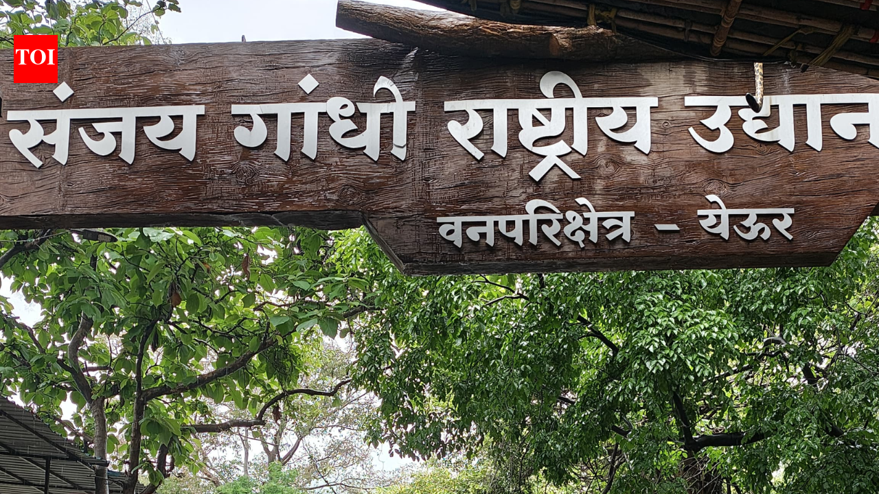 Thane collector prohibits entry to waterfalls, forts and other tourist spots amid heavy rain alert | Thane News