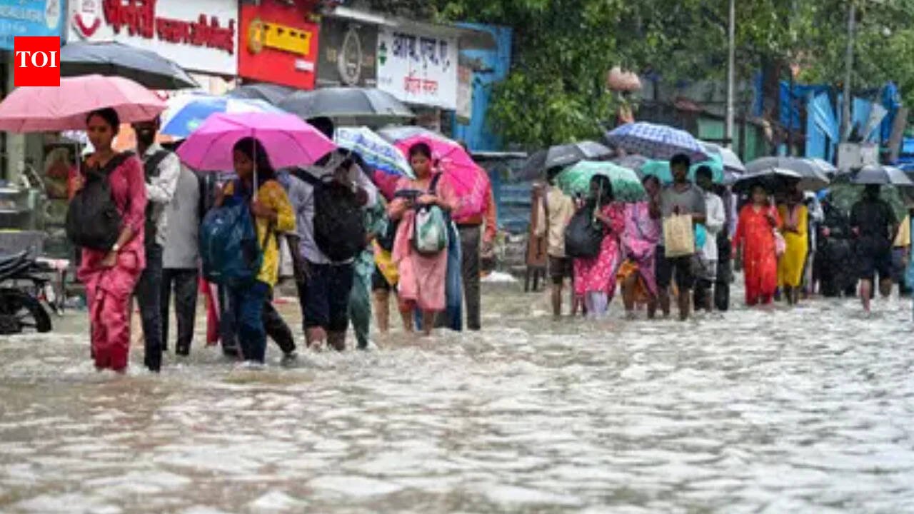Thane declares holiday for all schools on July 6 amid orange alert for heavy rain | Thane News