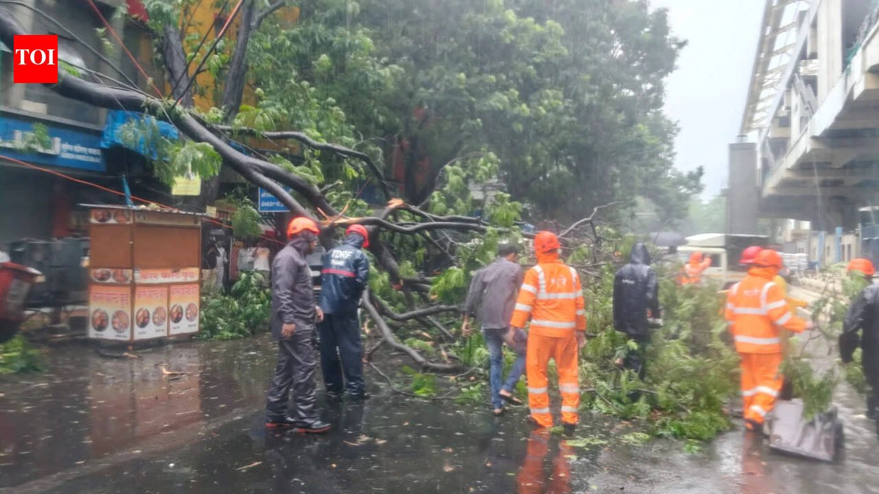 Thane sees heaviest monsoon spell: 208 mm rain, 186 distress calls, 110 tree falls | Thane News